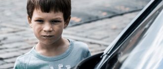Бустер по ПДД