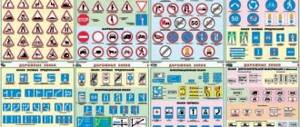 Studying the theory of traffic rules and road signs