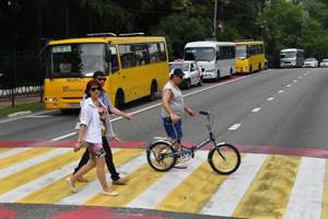 Непропуск пешехода и велосипедиста
