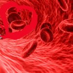 Освидетельствование водителей на наличие алкоголя в крови более чем 0,3 грамма на литр