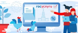 The procedure for paying taxes through the Gosuslugi portal