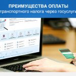 Advantages of paying transport tax through government services