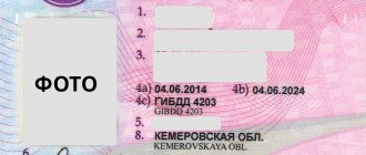 Пример водительского удостоверения